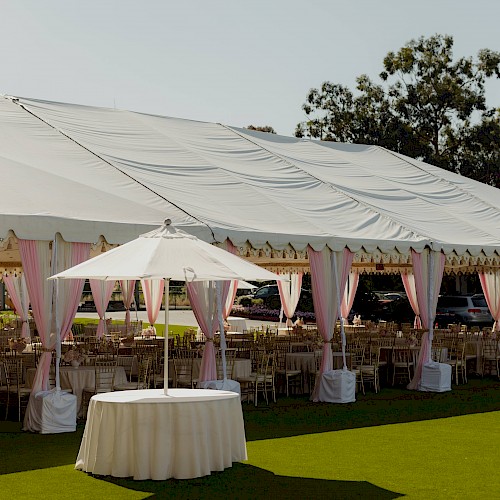 Hayes Mansion San Jose, Curio Collection by Hilton