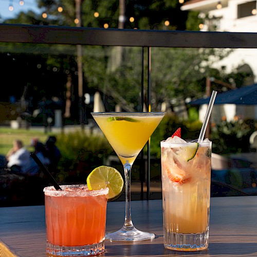 Hayes Mansion San Jose, Curio Collection by Hilton