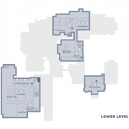 Hayes Mansion San Jose, Curio Collection by Hilton